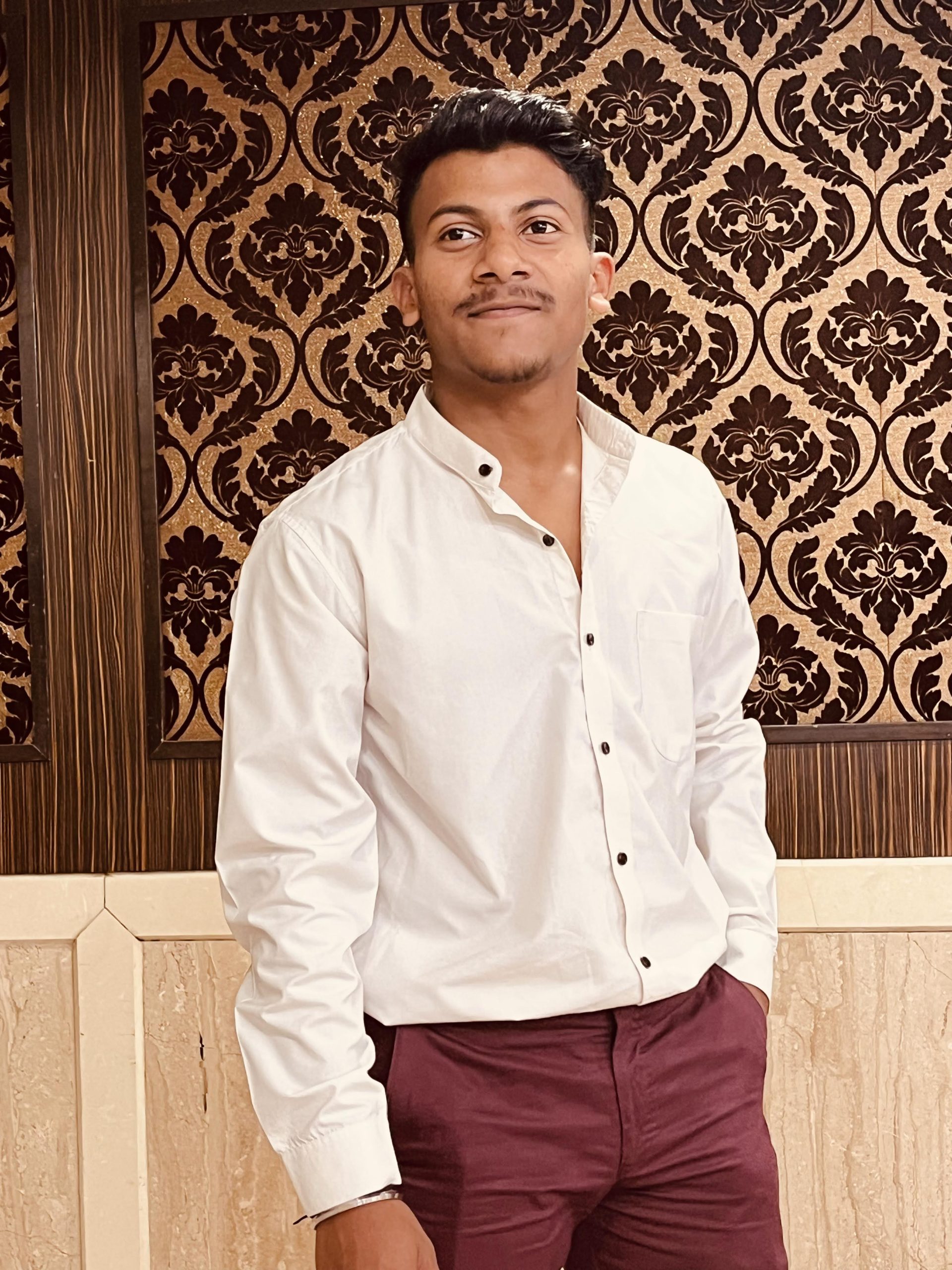 Priyanshu Singh - WordPress Website Developer